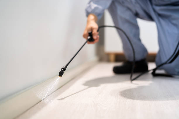 Licensed Pest Control service in Fort Atkinson, WI - Show Me Pest Control